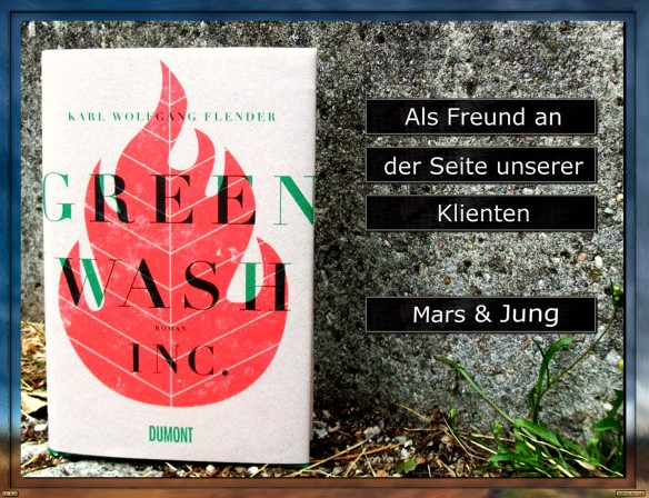 Greenwash, Inc. von Karl Wolfgang Flender